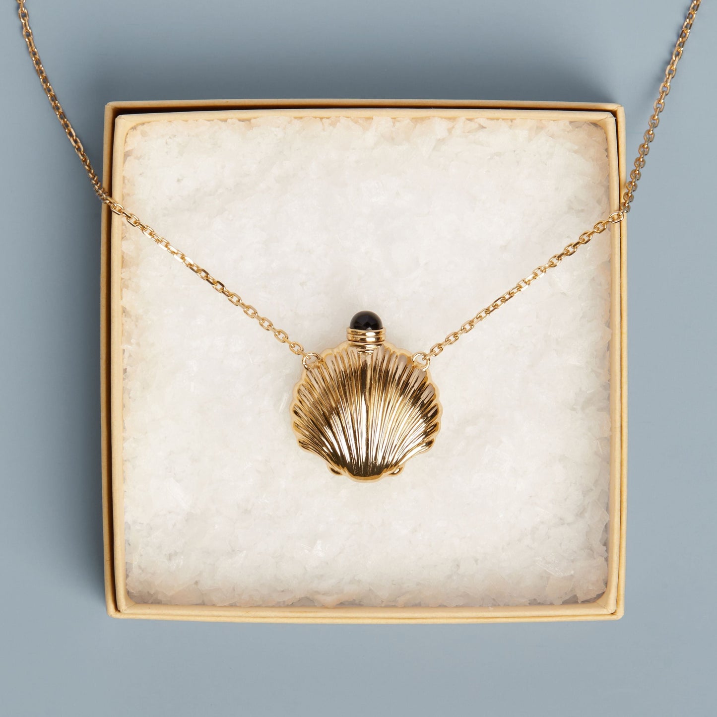 Seashell Bottle Necklace