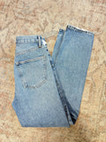 Agolde ‘90s Fit HR Jeans (24x30)
