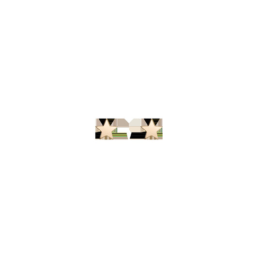 Gold Nova Star Stud Earrings - Flat Back