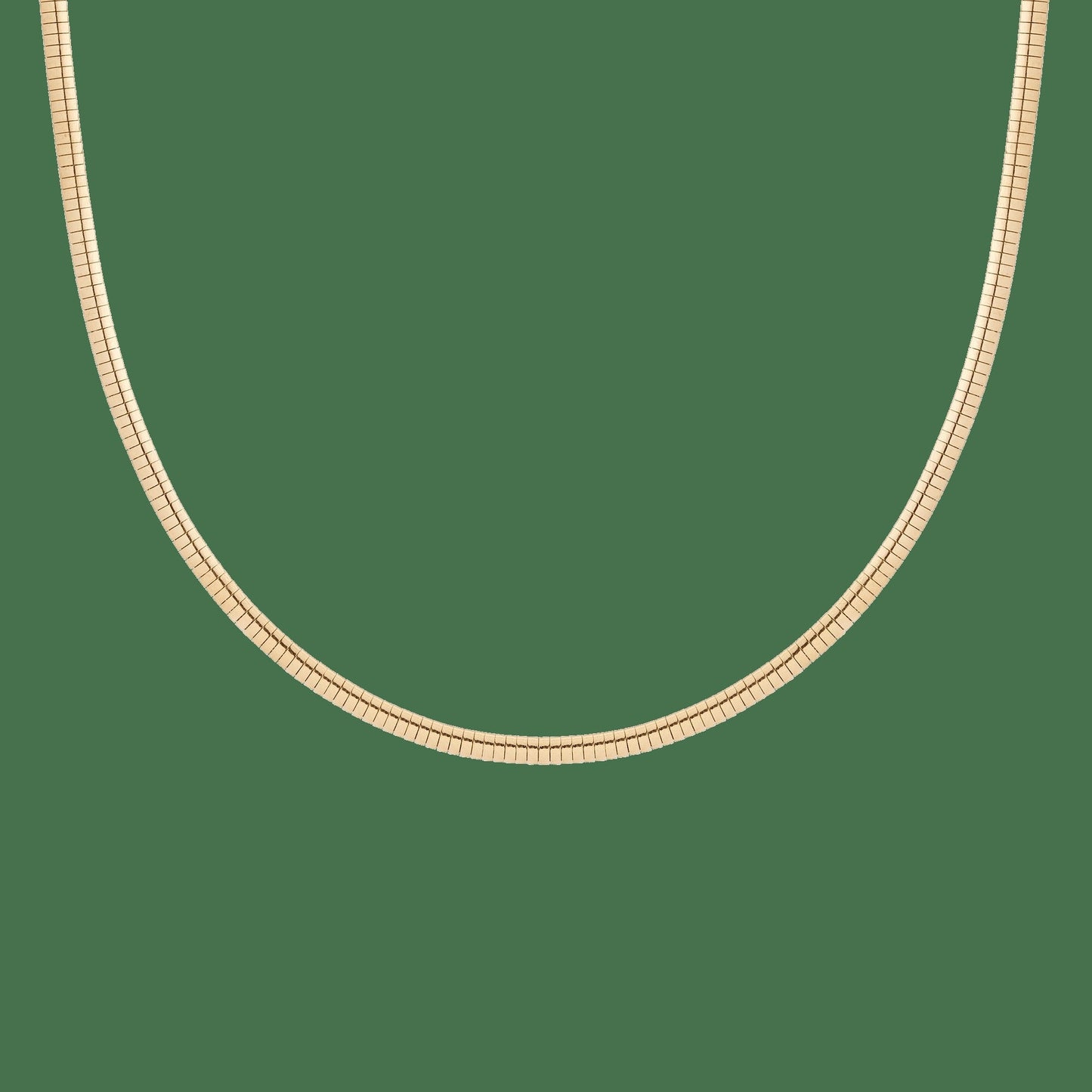 Omega Chain Necklace