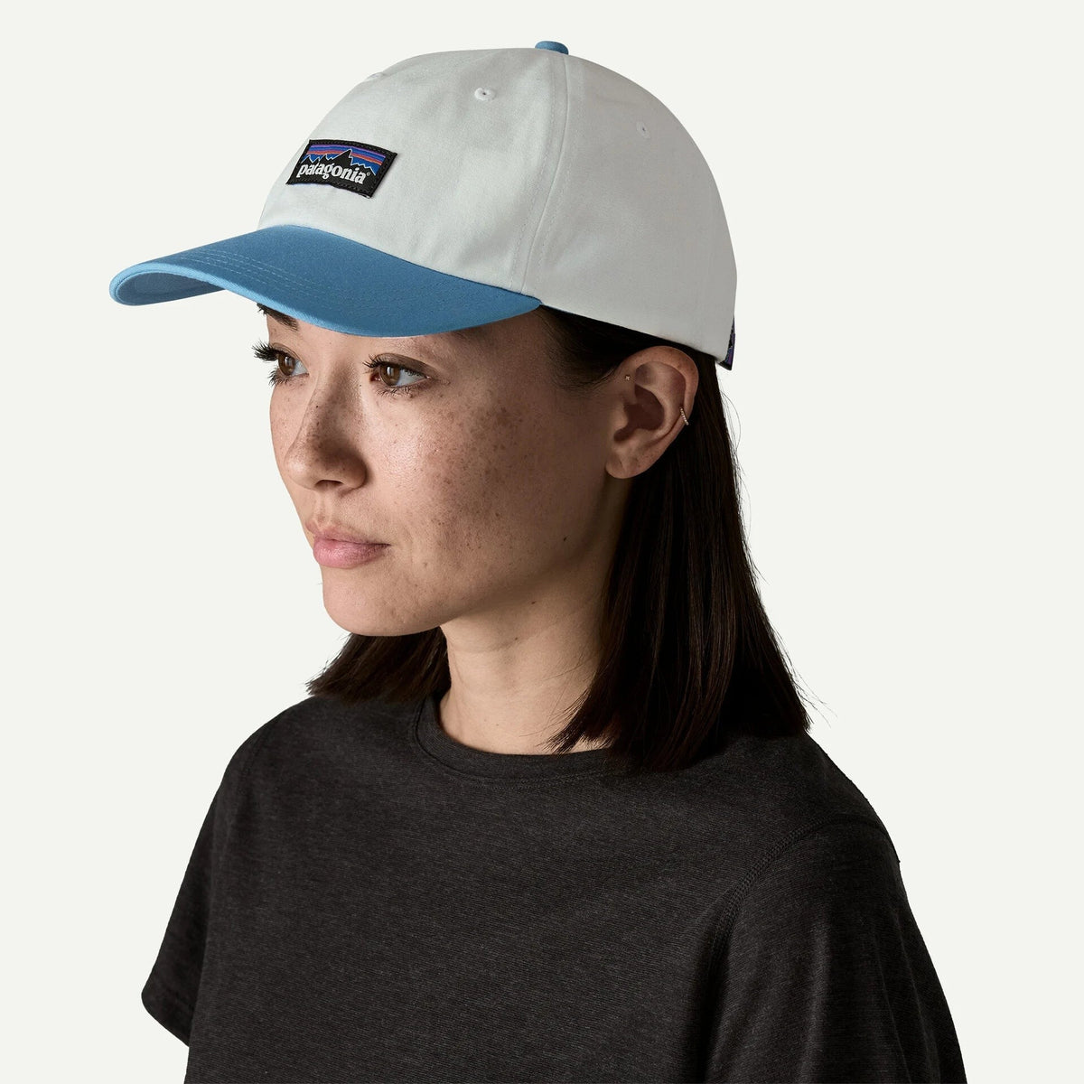Patagonia P-6 Label Trad Cap