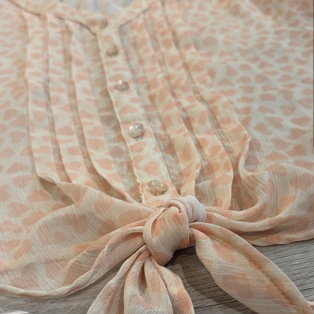 Eyeshadow Peach Sheer Blouse with Tie Front