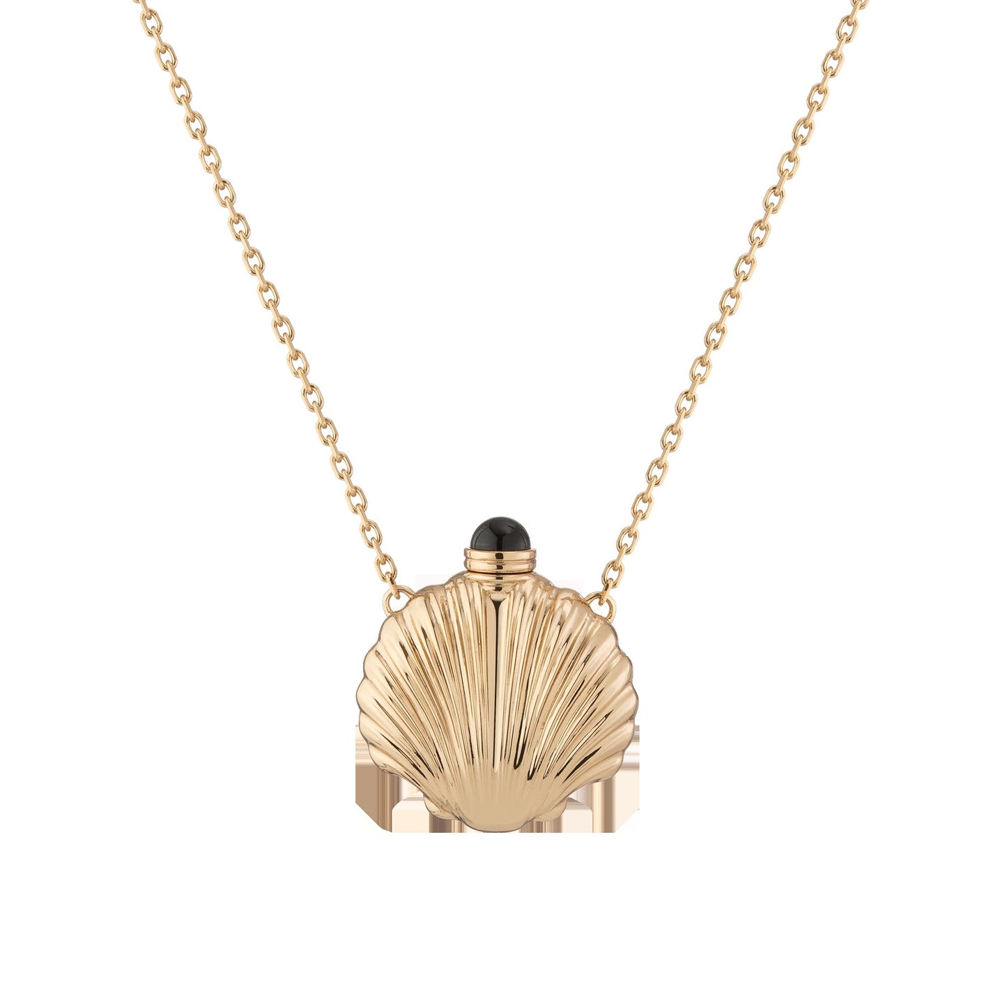 Seashell Bottle Necklace