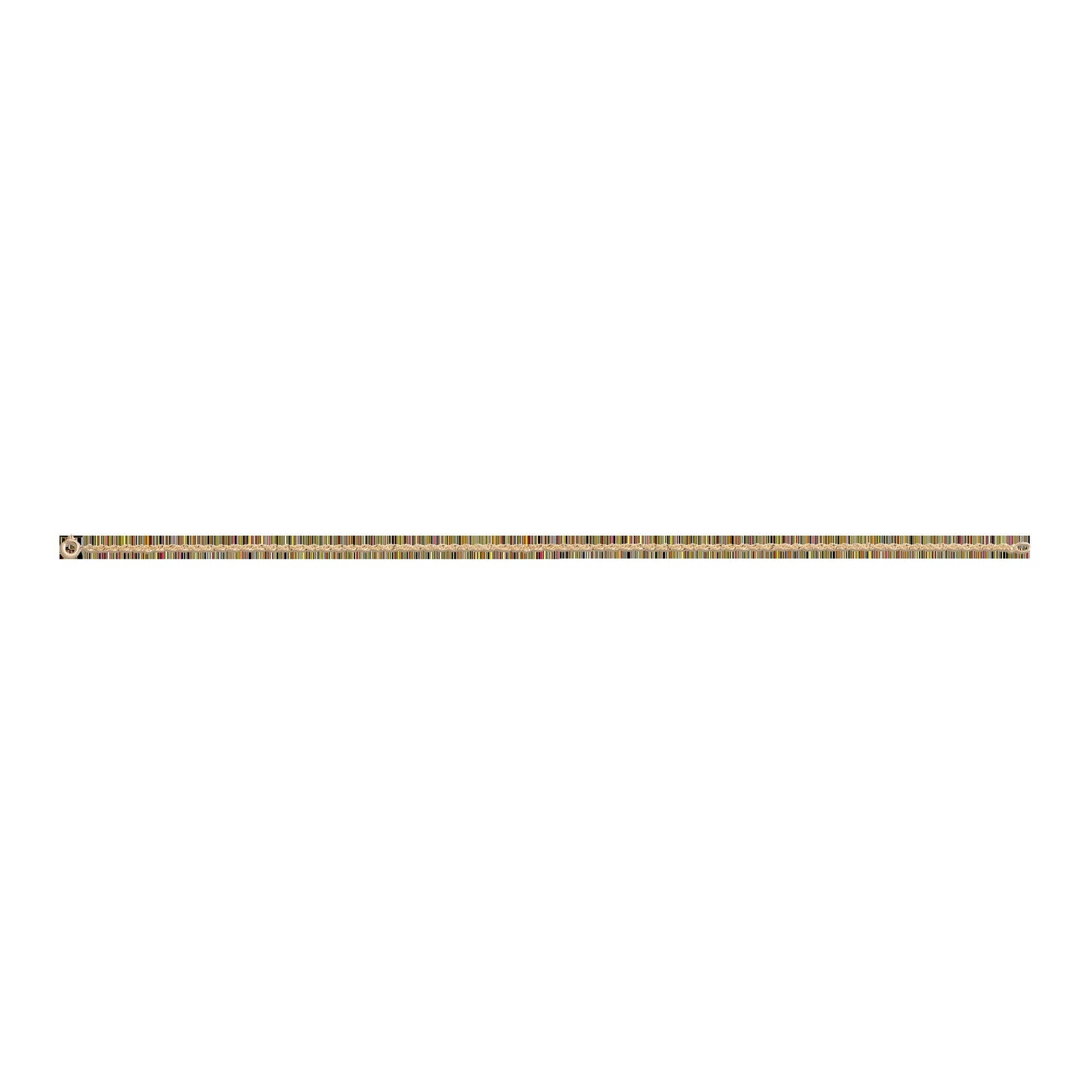Barely There Chain Anklet