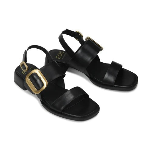 EOS TEGEAN BLACK