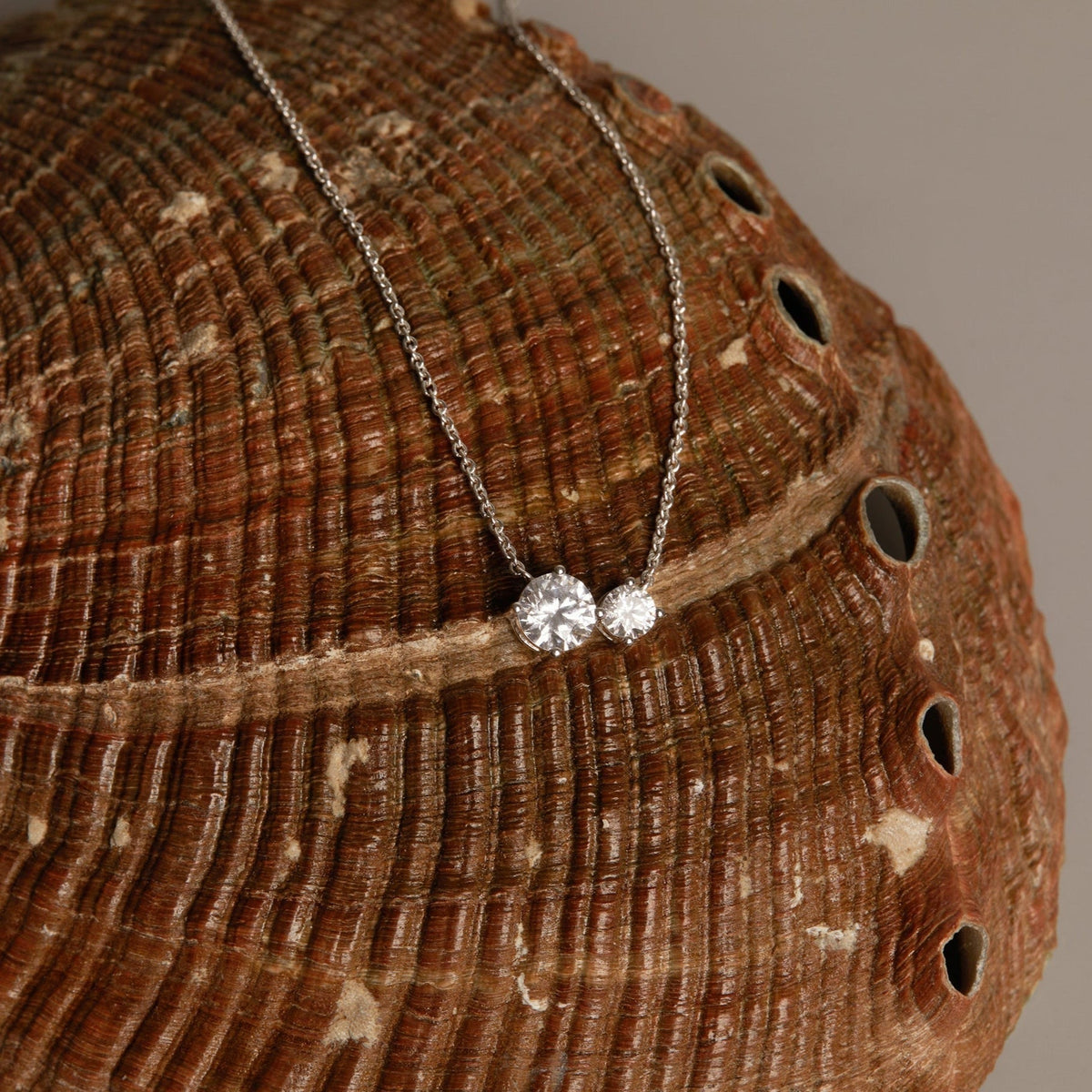 Lab Grown Diamond Duo Necklace