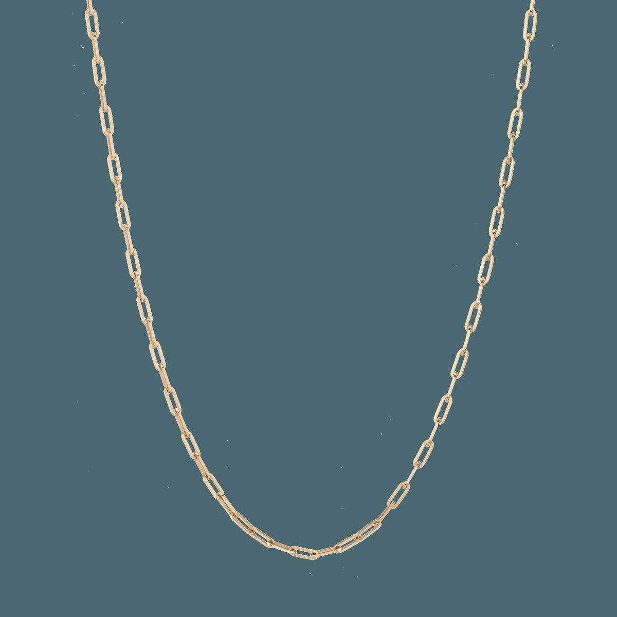 Medium Paperclip Chain Necklace
