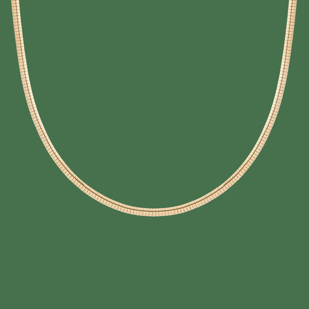 Omega Chain Necklace