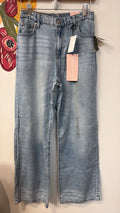 New 31" Inseam Celebrity Pink Baggy Wide Leg Jeans, S