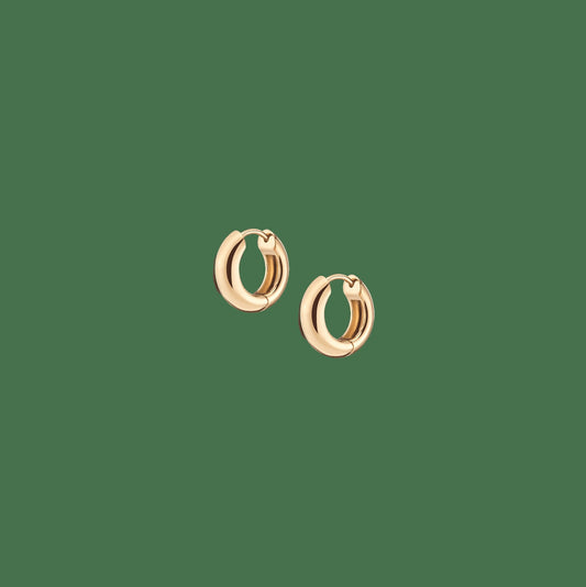 Small Chunky Hinged Hoop Earrings