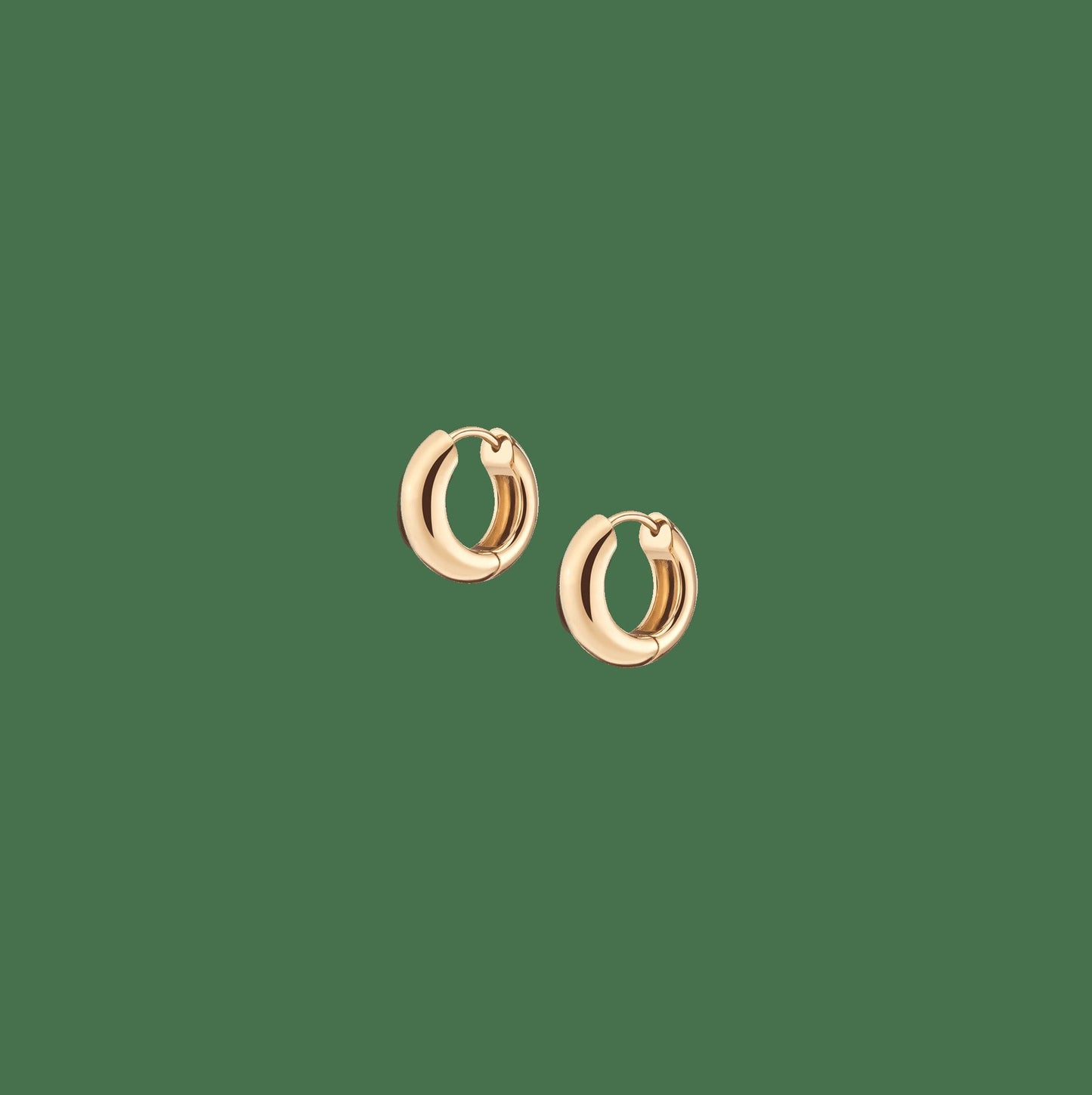 Small Chunky Hinged Hoop Earrings
