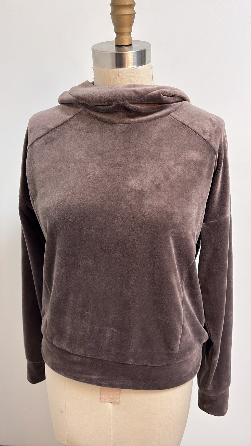 Evereve Hooded Velour Pullover, S
